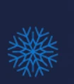Wintersnow logo