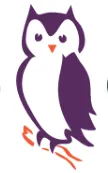 Wise Consulting logo