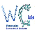 Wisecorner Laboratories