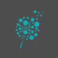 Wishary logo