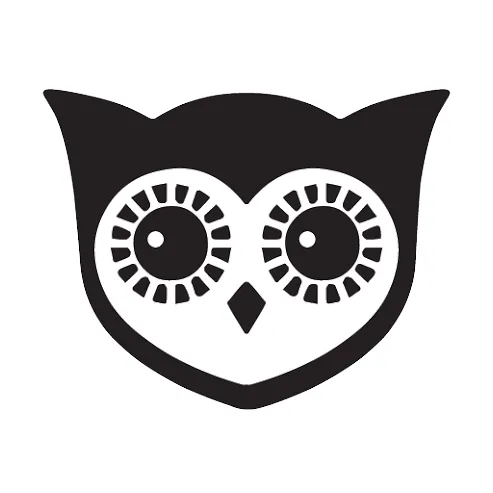 WiShi logo
