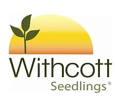 Withcott Seedlings logo