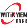 WITINMEM logo
