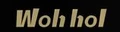 Wohhol logo