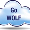 WOLF Frameworks