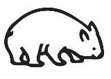 Wombat Capital logo