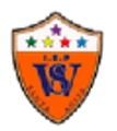 Wonderful Stars logo