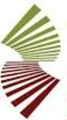 WoodSolutions logo
