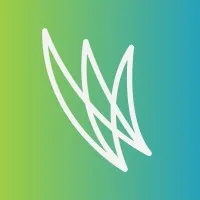 WordFlight logo