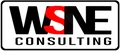 WSNE Consulting