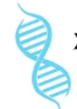 Xcellogen Biotech