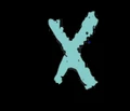 XFIXXI logo
