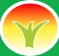 Xihe logo