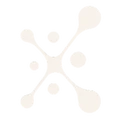 XonixSoft
