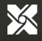 Xinyuan Technology Service Group