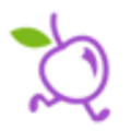 YaBerry logo