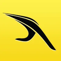 Yellowbook logo