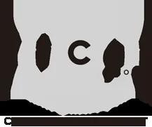 Yicai Global logo