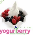 Yogurberry India logo