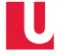 York University logo