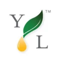 Young Living logo