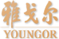 Youngor logo