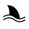 YoungSharks