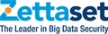 Zettaset logo