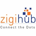 Zigihub