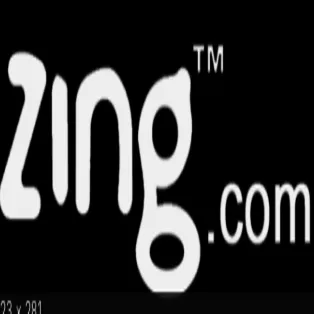 Zing logo