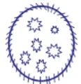 Zoospore Biologicals