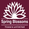 Spring Blossoms Ventures Private Limited Company Logo