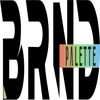 Brand Palette Private Limited Logo