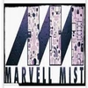 Marvellmist Systems Private Limited Logo