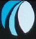 Dhruvi Foods And Beverages Limited Logo
