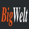 Bigwelt Infotech Private Limited Company Logo