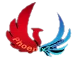 Phoenixzone Technologies Private Limited Logo