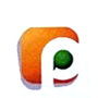 Prominent Vision India Private Limited Logo