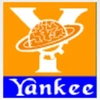 Yankee Logic Systems And Robotics Private Limited Logo