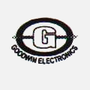 Goodwin Electronics Private Limited Logo