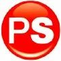 Prime Semiconductors Llp Logo
