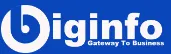Biginfo Business Intelligence Private Limited Logo