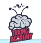 Turing Academy Private Limited Logo