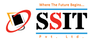 Swaranjal Selokar Information Technology Private Limited Logo