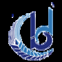 Bigdream Infoservices Private Limited Logo