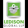 Ledison Global Llp Company Logo