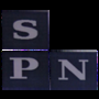Spn Elevator Private Limited Logo