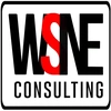 Wsne Consulting Private Limited Logo