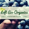 Lofteco Organics Private Limited Logo