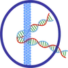 Kovid Bioanalytics Private Limited Logo